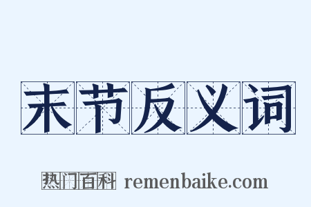 末节反义词是什么意思的图片